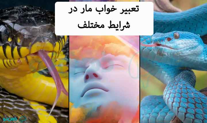 نحوه تعبیر خواب مار