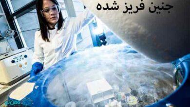 جنین فریز شده