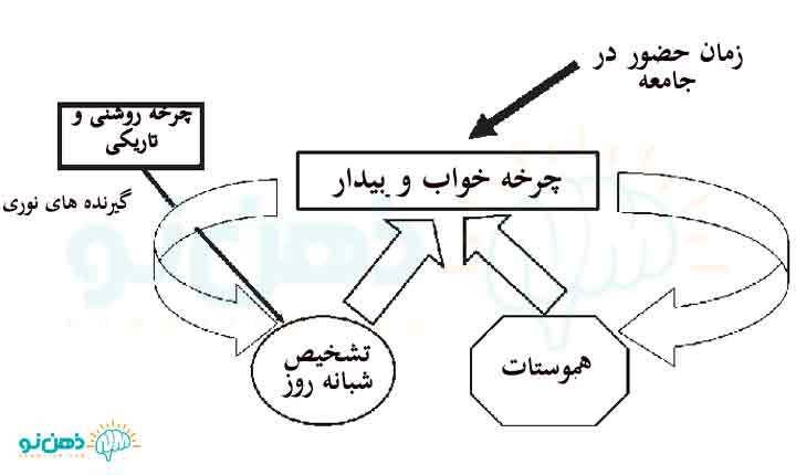 راه های تنظیم سیکل خواب و ساعت خواب
