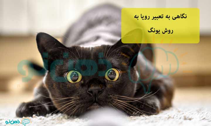 تعبیر خواب گربه به روش یونگ