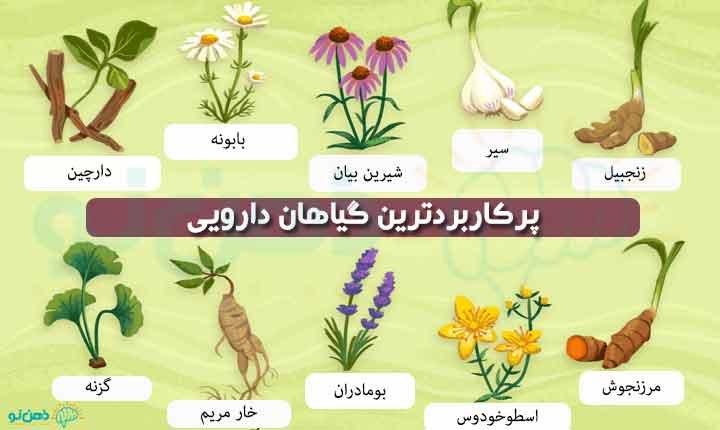 برخی از خواص گیاهان دارویی