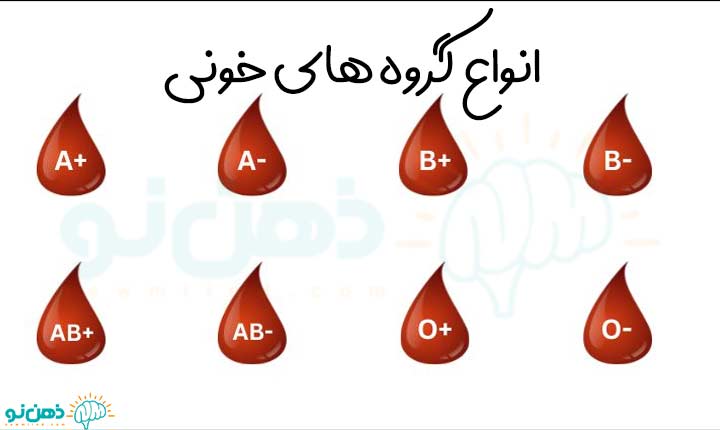 انواع گروه های خونی