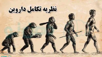 نظریه تکامل داروین