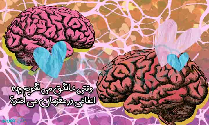 عملکرد مغز انسان عاشق