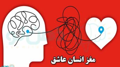مغز انسان عاشق