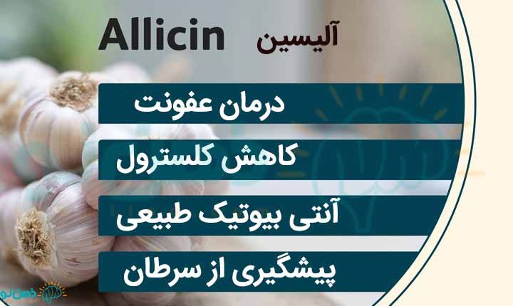 آلیسین خواص سیر 