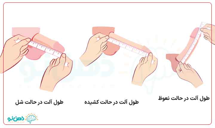 اندازه کیر طول آلت