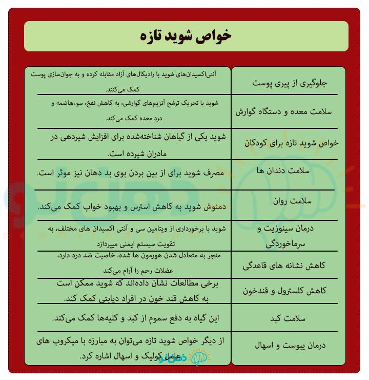 انواع خواص شوید تازه