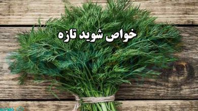 خواص شوید تازه