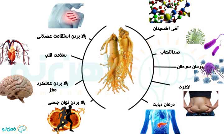 انواع خواص جینسینگ