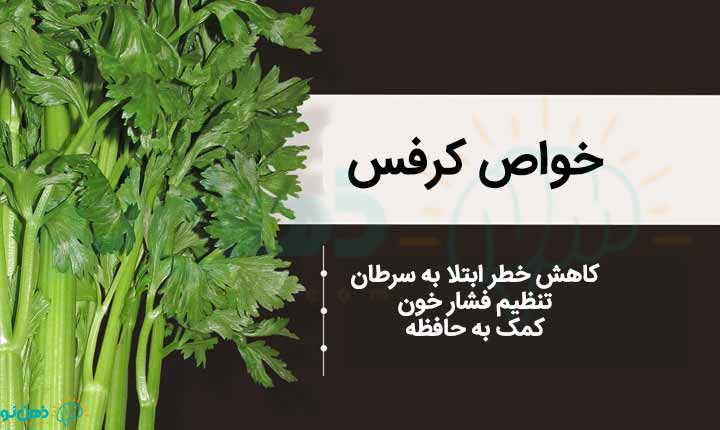 انواع خواص کرفس