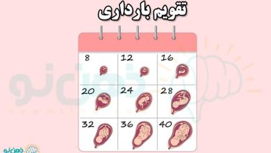 تقویم بارداری